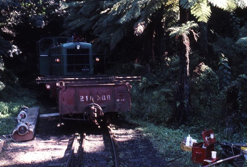 123344: Monbulk Creek Trestle (up end), Work Train D 21