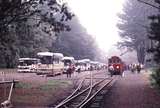 123354: Gembrook 'Cuboree' Train and buses