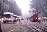 123355: Gembrook 'Cuboree' Train and buses