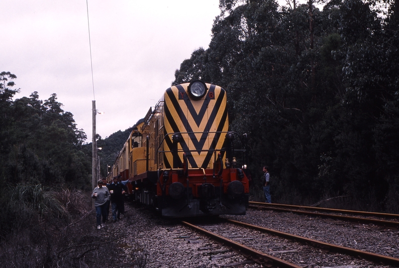 123422: Melba Flats Y 6 shunting cars from Mining Week Special