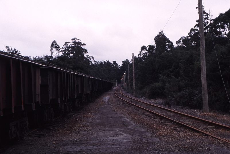 123423: Melba Flats Looking South towards Zeehan