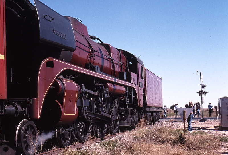 123544: Pinnaroo Border 8192-8193 SRV Special R 766