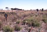 123546: Pinnaroo Border looking West towards Pinnaroo
