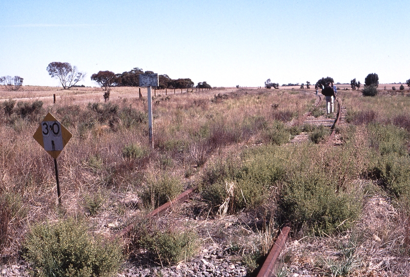 123546: Pinnaroo Border looking West towards Pinnaroo