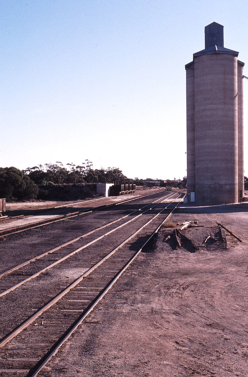 123568: Cowangie looking West