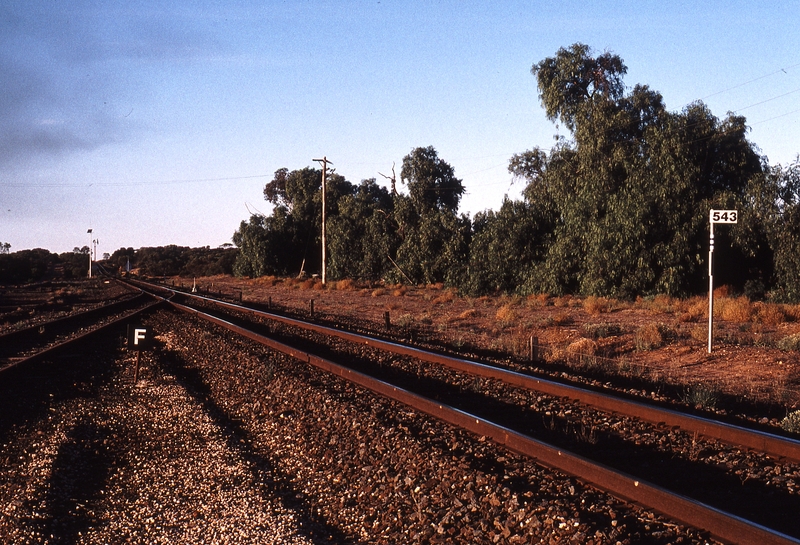 123615: Hattah km 543 looking towards Melbourne