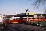 123764: Caribbean Gardens Level Crossing near Market Passenger V Masters 0-4-0D