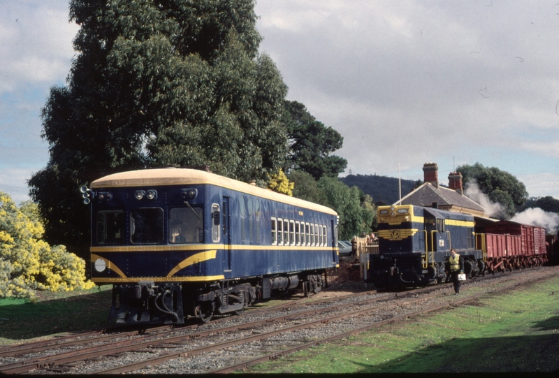 123811: Maldon 707 Down Special Passenger RM 61 and T 333 in background shunting