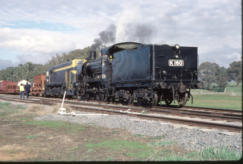 123817: Muckleford 711 Down Special Goods K 160 T 333