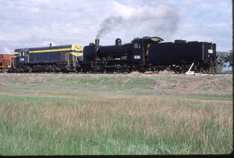 123818: Muckleford 711 Down Special Goods K 160 T 333