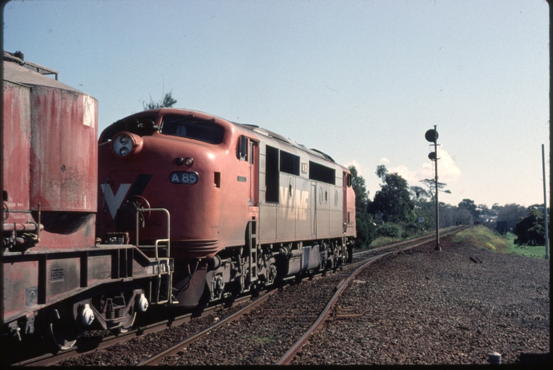 123924: South Geelong Up Cement Train A 85