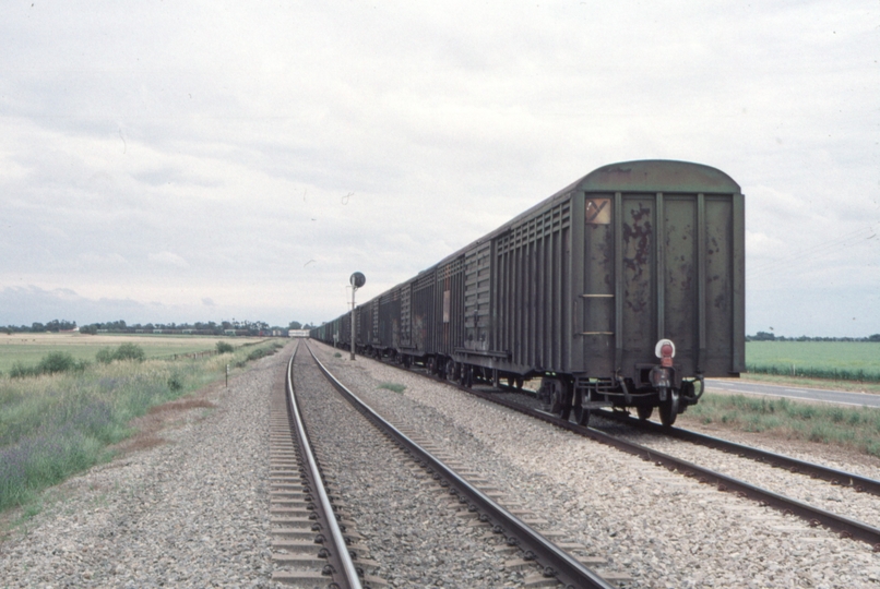 124096: Two Wells (down end), km 46 2PM9 SCT Train