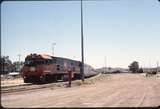 124130: Alice Springs Ghan to Sydney NR 120