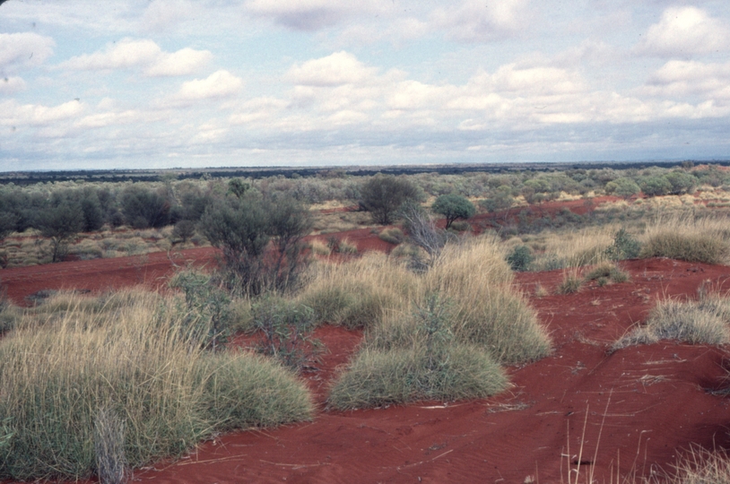 124195: Narrow Gauge Central Australia Railway Formation opposite Ewaninga Rock Carvings Reserve Looking North