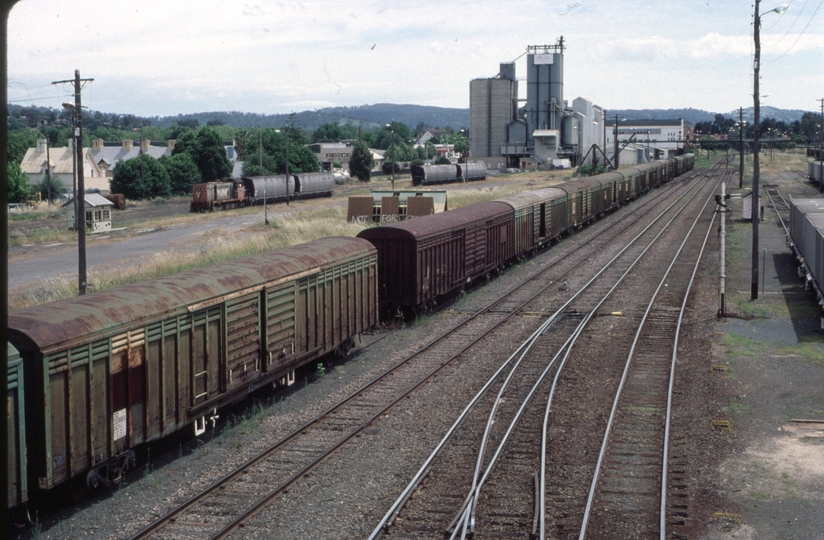 124278: Albury H 2 shunting Manildra Wagons