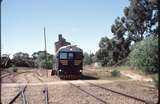 124307: Hamley Bridge 252 leading 4591B Down RTA Special