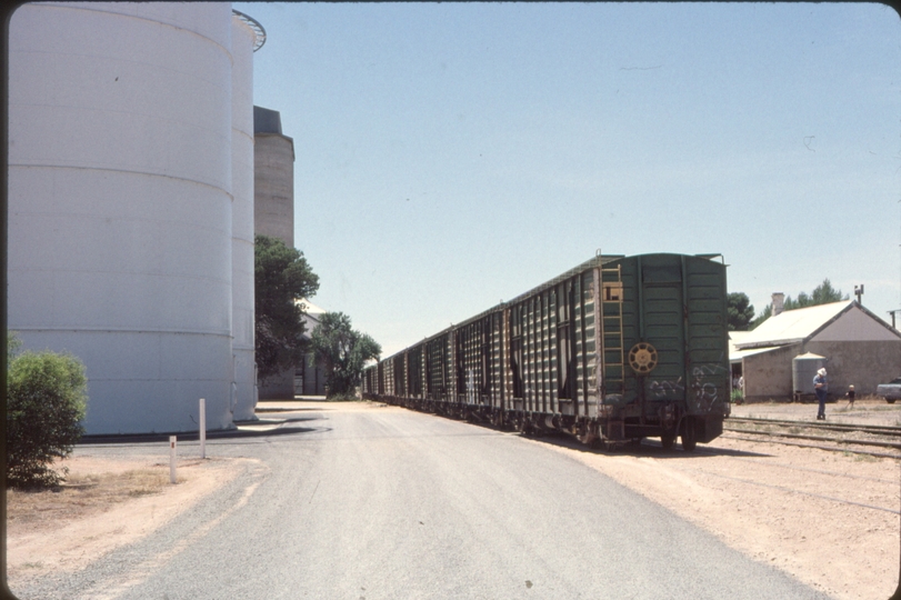 124323: Balaklava AHCL Wagons loading