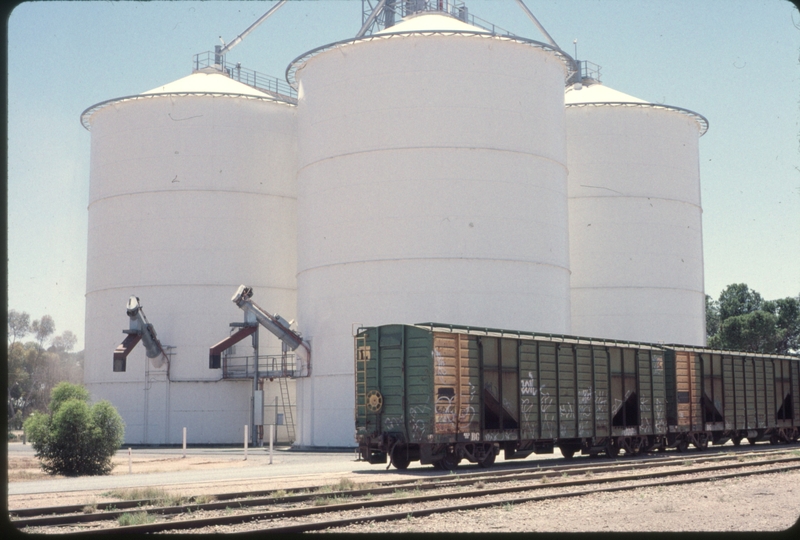 124324: Balaklava Grain Wagons loading