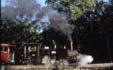 124433: Monbulk Creek Trestle No 77 Dinner Train 12A