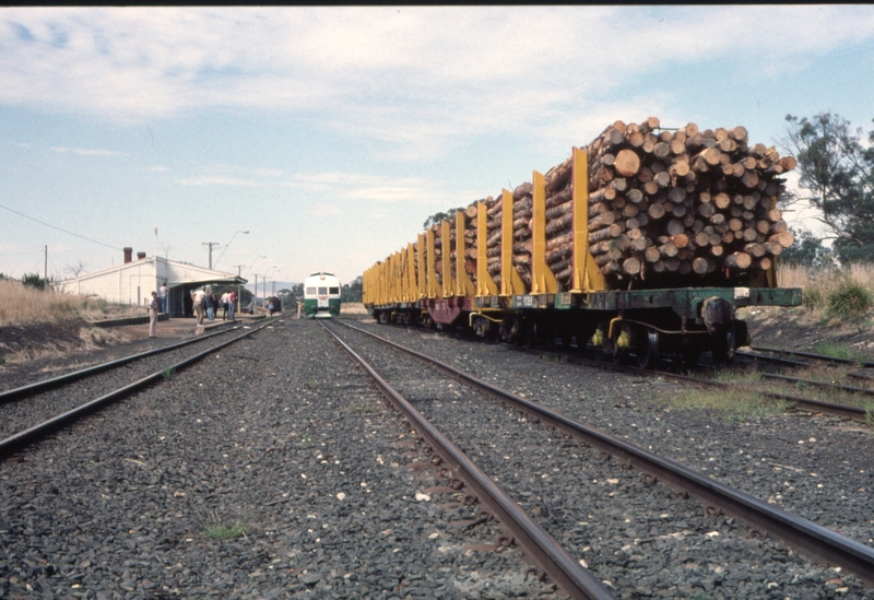 124638: Conara Junction looking South Log wagons and in distance AREA Special to Don