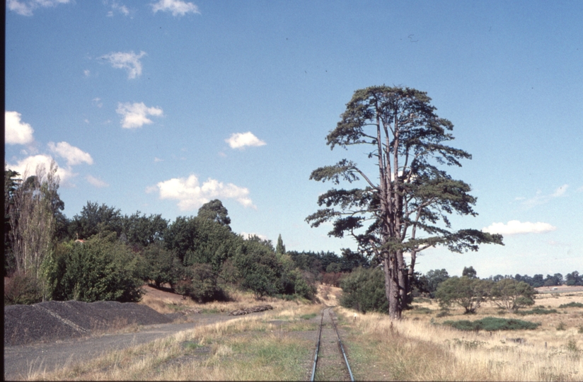 124652: Evandale looking South