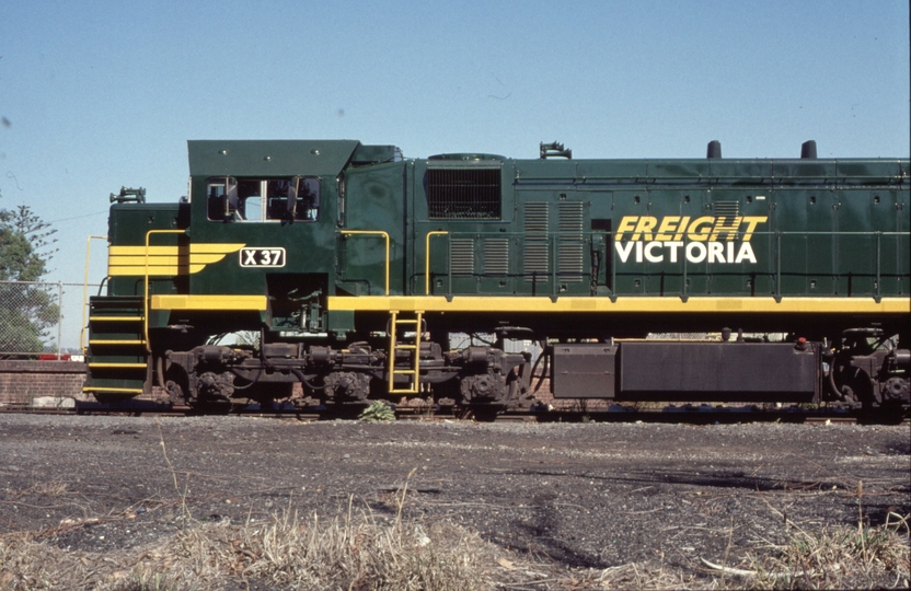 124735: Colac X 37  Stabled RTA Special