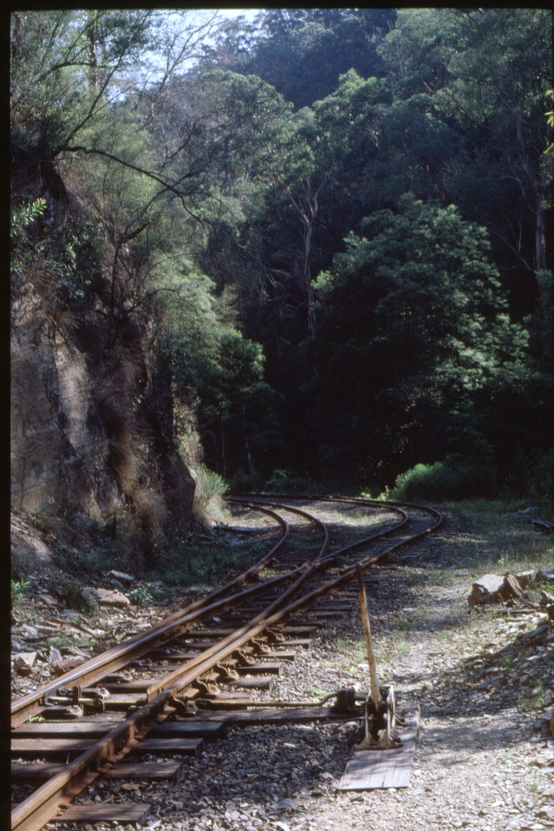 124765: Happy Creek North Switch looking South