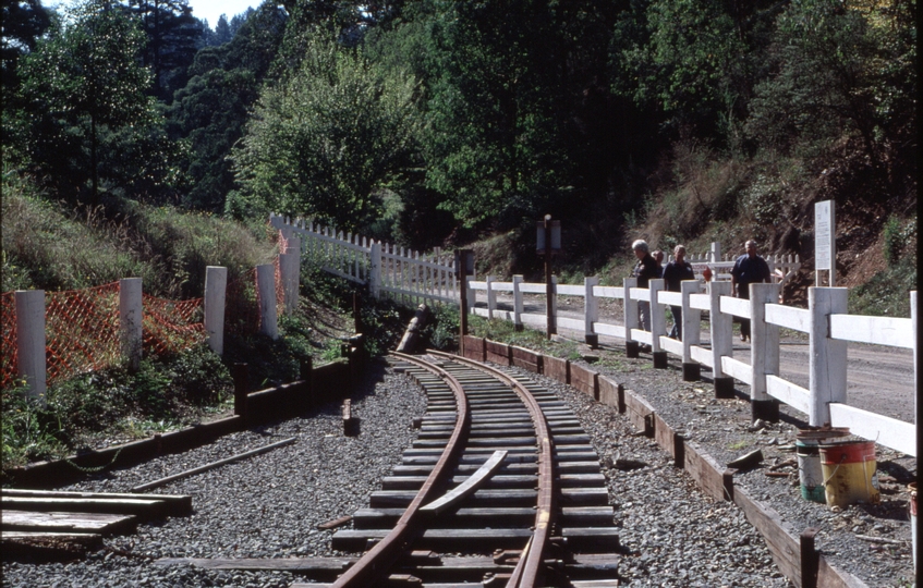 124773: Walhalla End of Track looking North