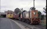 124917: Bendigo Y 157 in background former SOP Brakevan