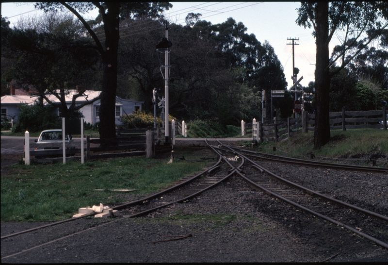 124982: Melzies Creek East end looking East