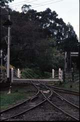 124983: Menzies Creek East end looking East