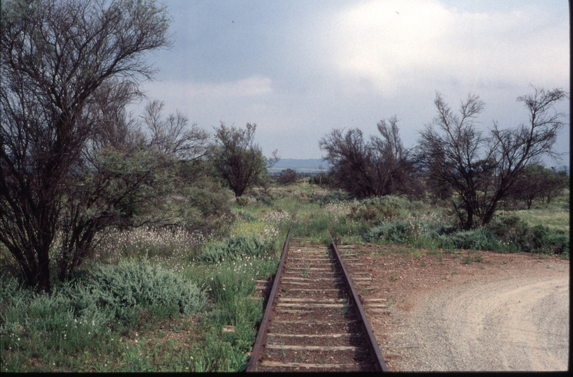 125043: Bruce looking towards Quorn