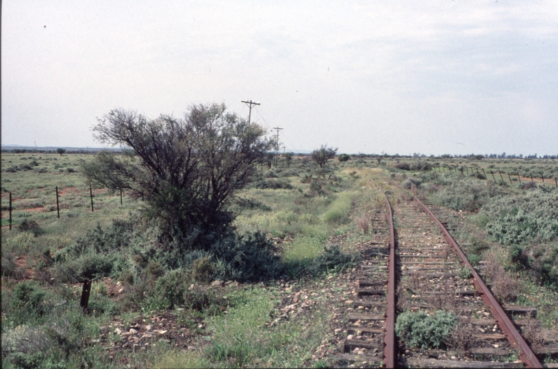 125046: km 360 5 Quorn Bruce Section looking towards Bruce