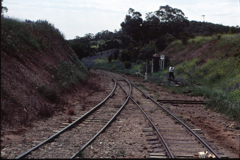 125066: Summit looking towards Quorn