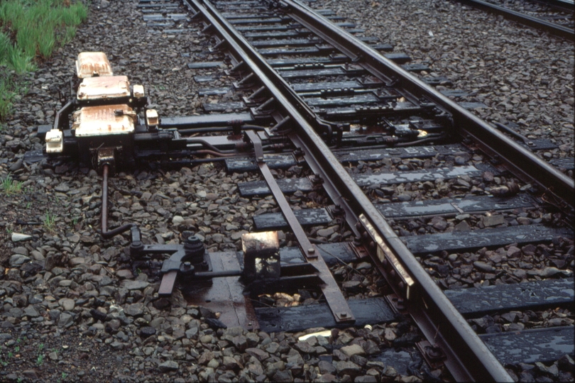 125212: Ngaio Catchpoint and train stop at Wellington end