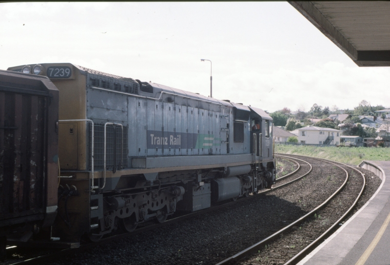 125444: Hamilton Freight to Tauranga DFT 7239