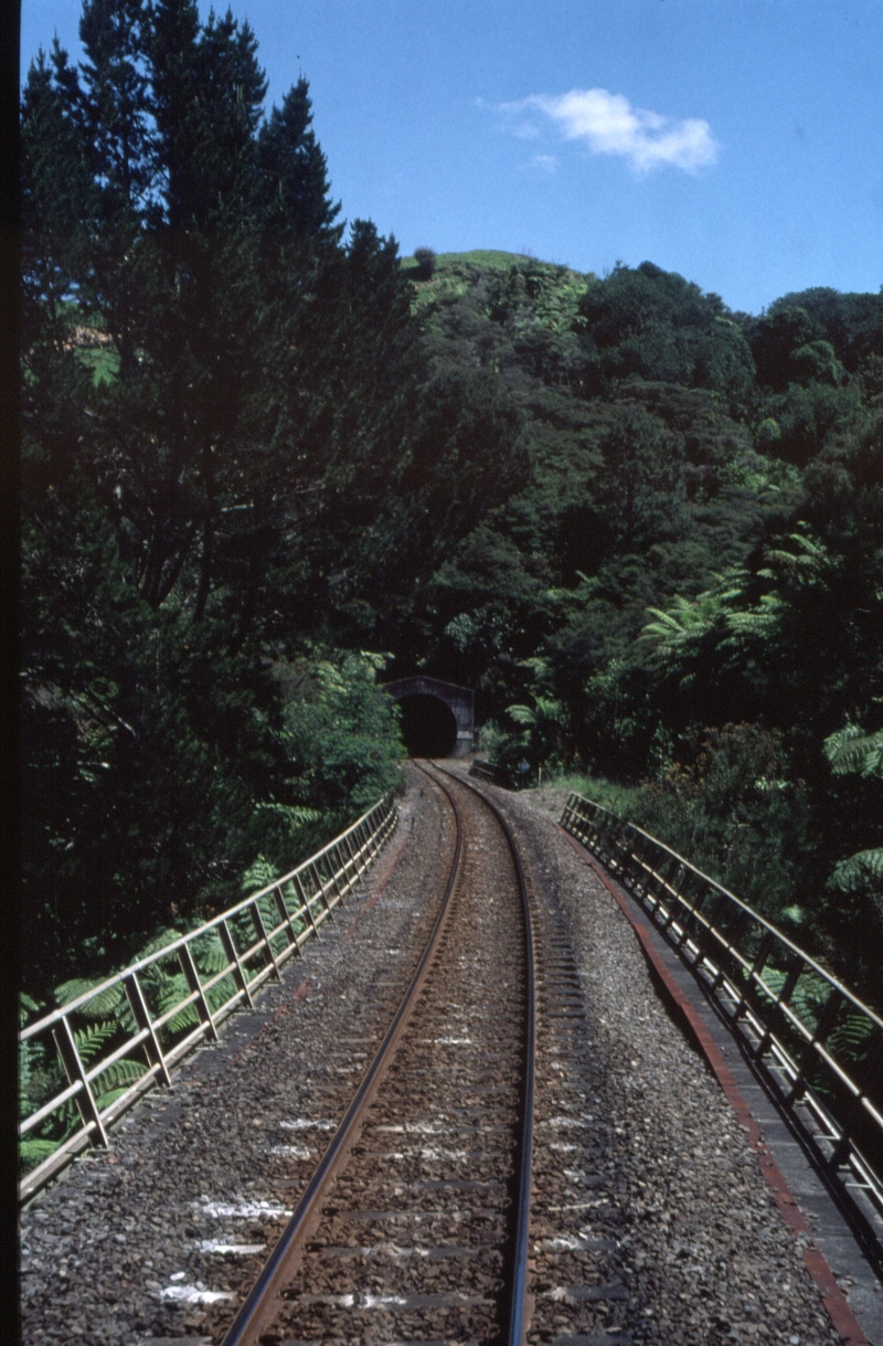 125465: Kaimai Tunnel East Portal Wainui Viaduct