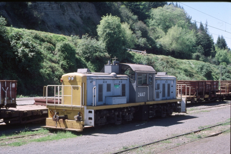 125486: Taumarunui Shunter DSC 2447