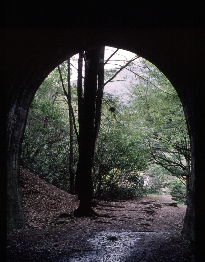 125646: Kawatiri Tunnel South Portal