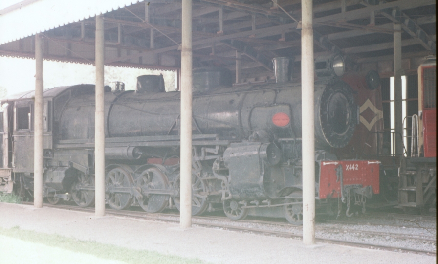 125797: Ferrymead Railway Moorhuse X 442