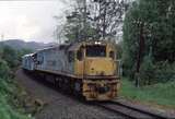 125868: Level Crossing km 208 Greymouth Line 0802 Eastbound Tranz Alpine DX 5241