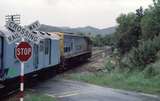 125869: Level Crossing km 208 Greymouth Line 0802 Eastbound 'Tranz Alpine' DX 5241