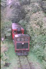 125893: Shantytown Timber Mill Stop Up Passenger 'Kaitangata'