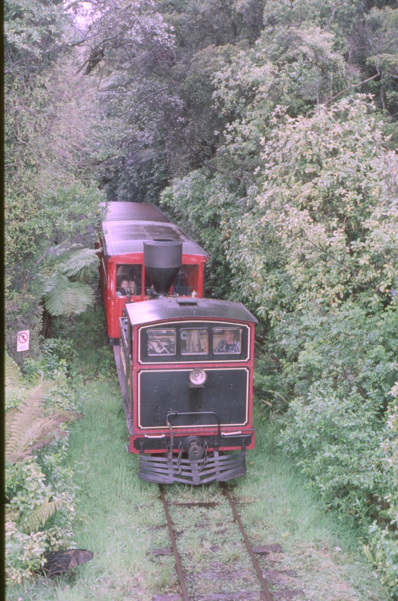 125893: Shantytown Timber Mill Stop Up Passenger 'Kaitangata'