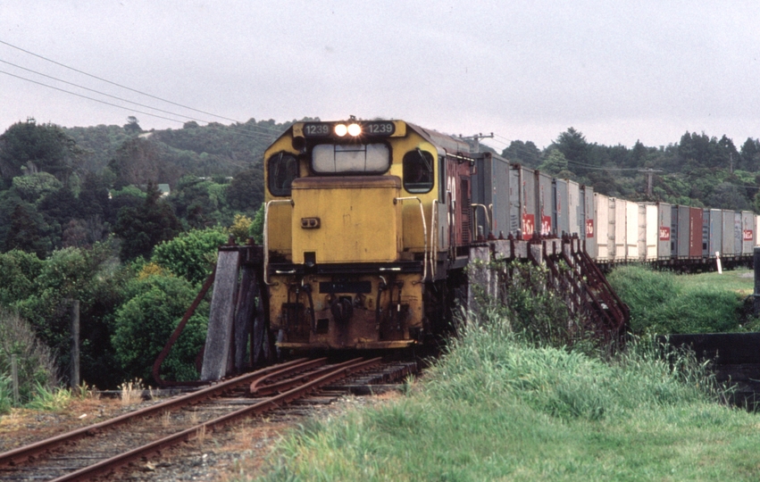 125908: Camerons - Gladstone Section New River Bridge Northbound Freight DBR 1239