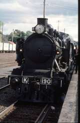 125987: Maryborough K 190 leading 8191 Down SteamRail Special