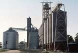 125993: Bridgewater Silos including 'Maxi' at right looking towards Melbourne