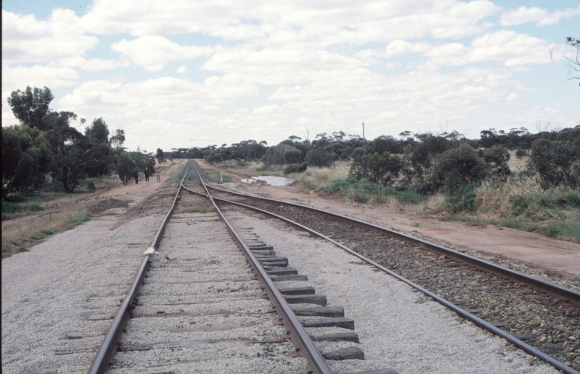 126023: Manangatang North end points looking towards Robinvale