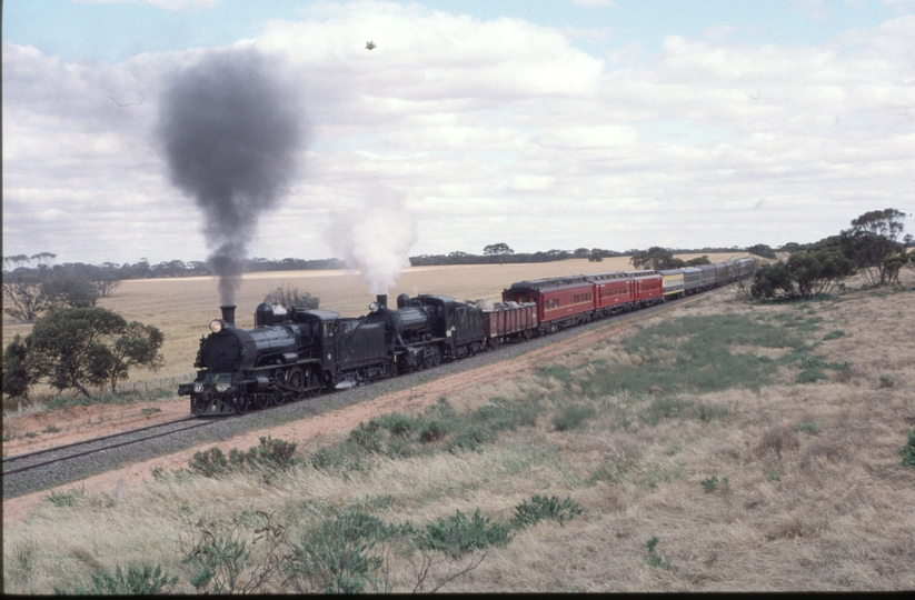 126032: Annuello (down side), km 484 5 8091 Down SteamRail Special D3 639 K 190