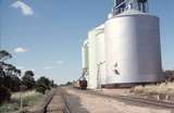 126066: Robinvale looking South from South Switch